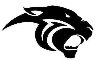 panther logo